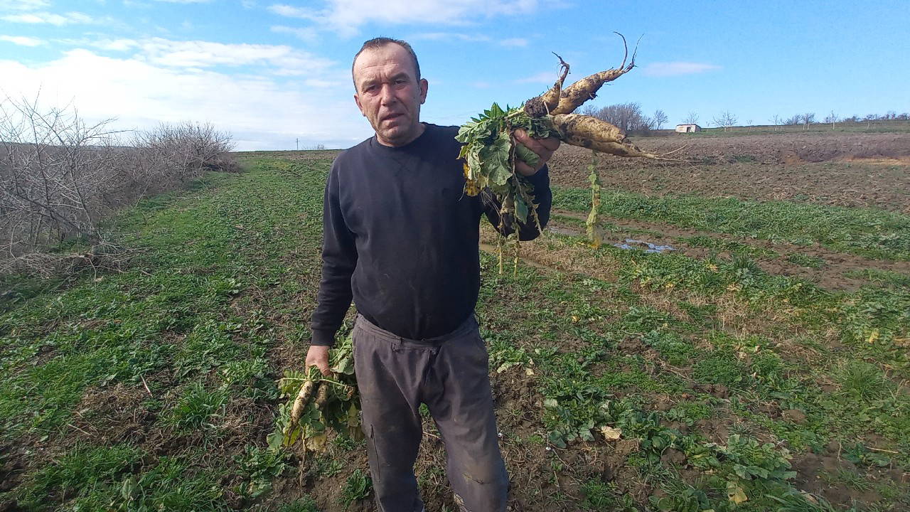 200 metrelik alanda dört mevsim üretim yapıyorlar