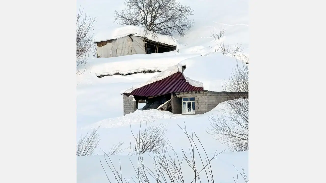 Hakkari’de çığ düştü: Evler ve ahırlar zarar gördü, 120 küçükbaş öldü