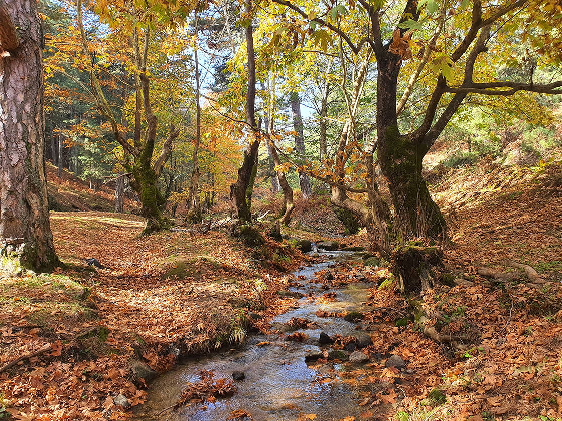 Sonbaharın büyüsünü keşfedin: Renk cümbüşüyle dolu en keyifli 6 sonbahar rotası