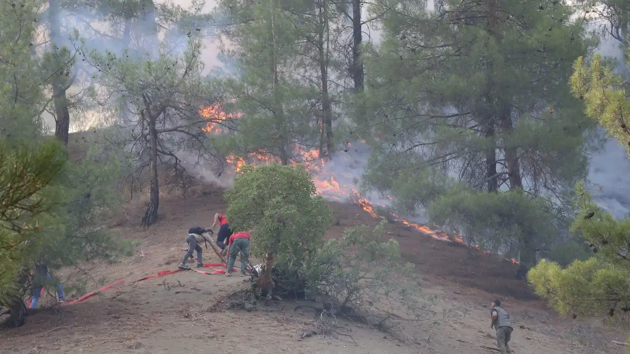 Kahramanmaraş'taki orman yangınında 3. gün: Müdahale sürüyor!