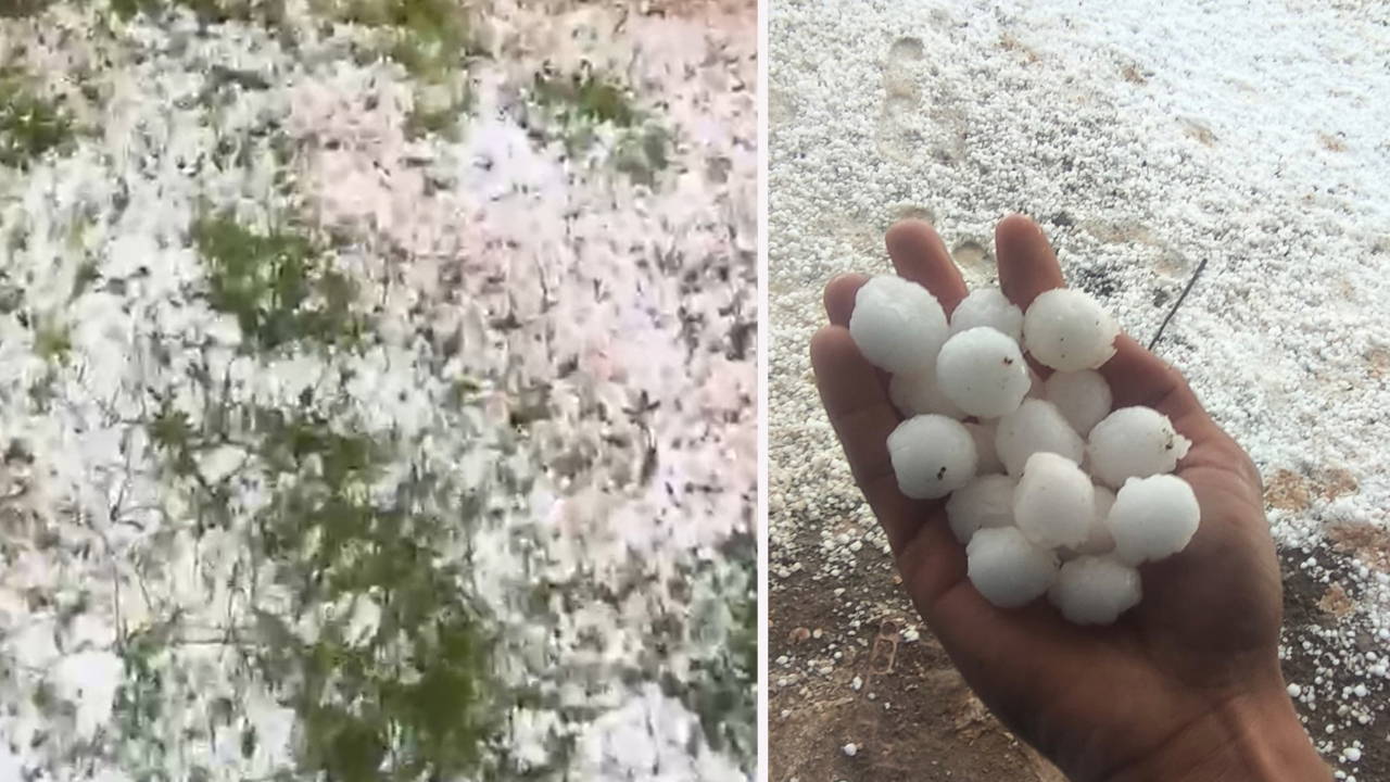 Mardin'de mayısta 'dolu' yağdı: Tarım arazileri zarar gördü