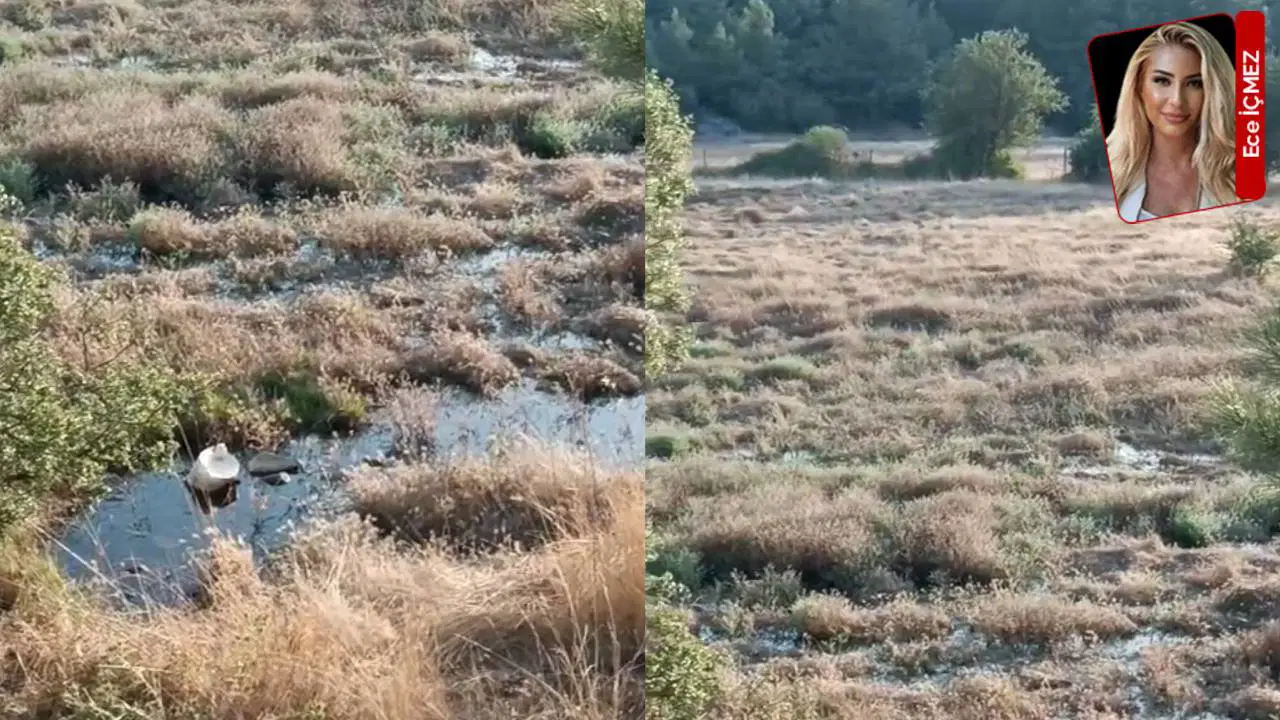 Akçaova TOKİ'de skandal iddia... 'Atık su orman ve tarım arazisine akıyor'