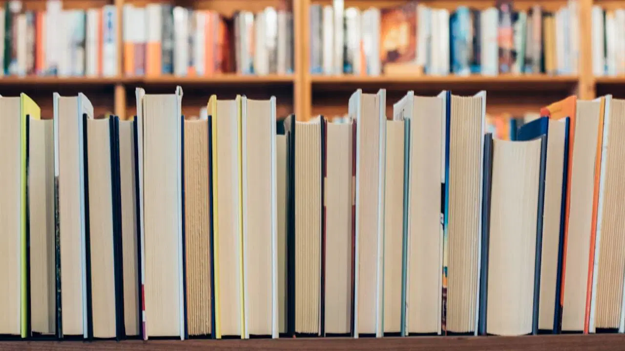 Yayınevlerinden Ceylan Yayınları için ortak açıklama: 'Yayımcılık suç değildir'