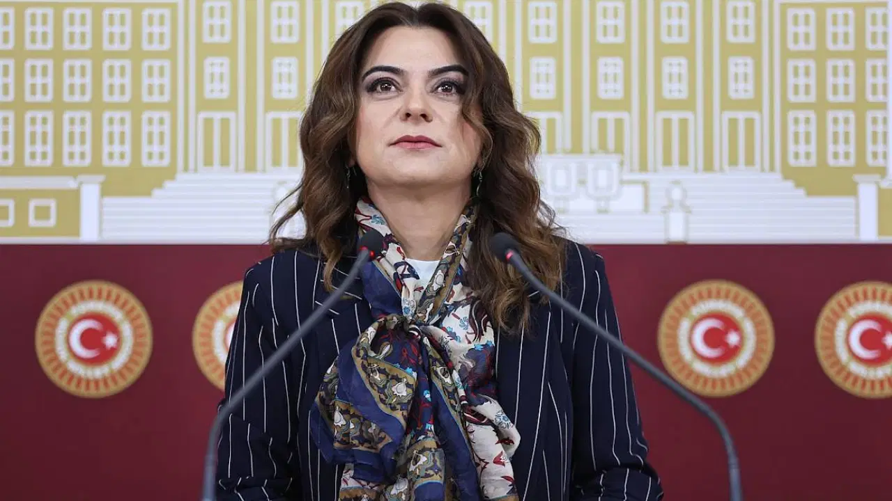 Koçyiğit'ten 'İmralı tutanağı' tepkisi 