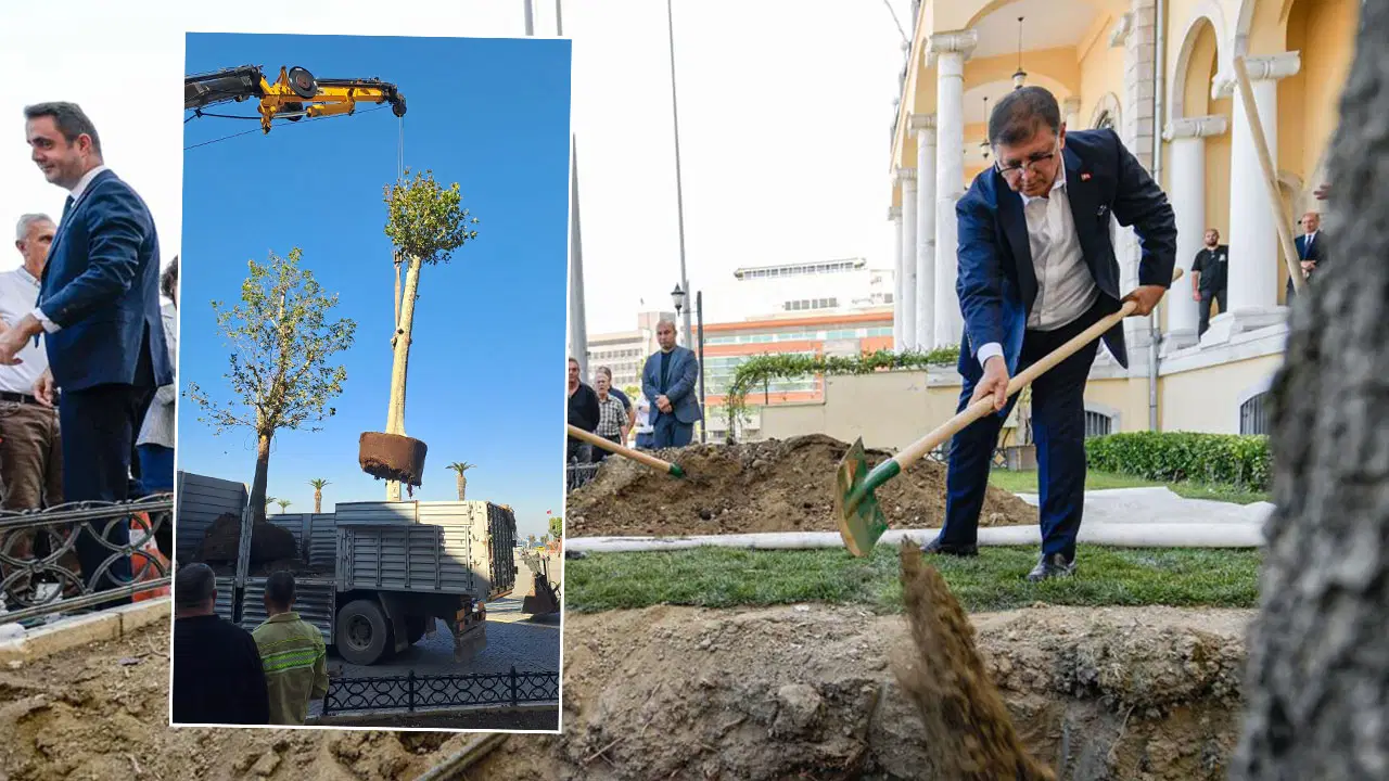 Cemil Tugay'ın diktiği ağaç Valilik tarafından söküldü