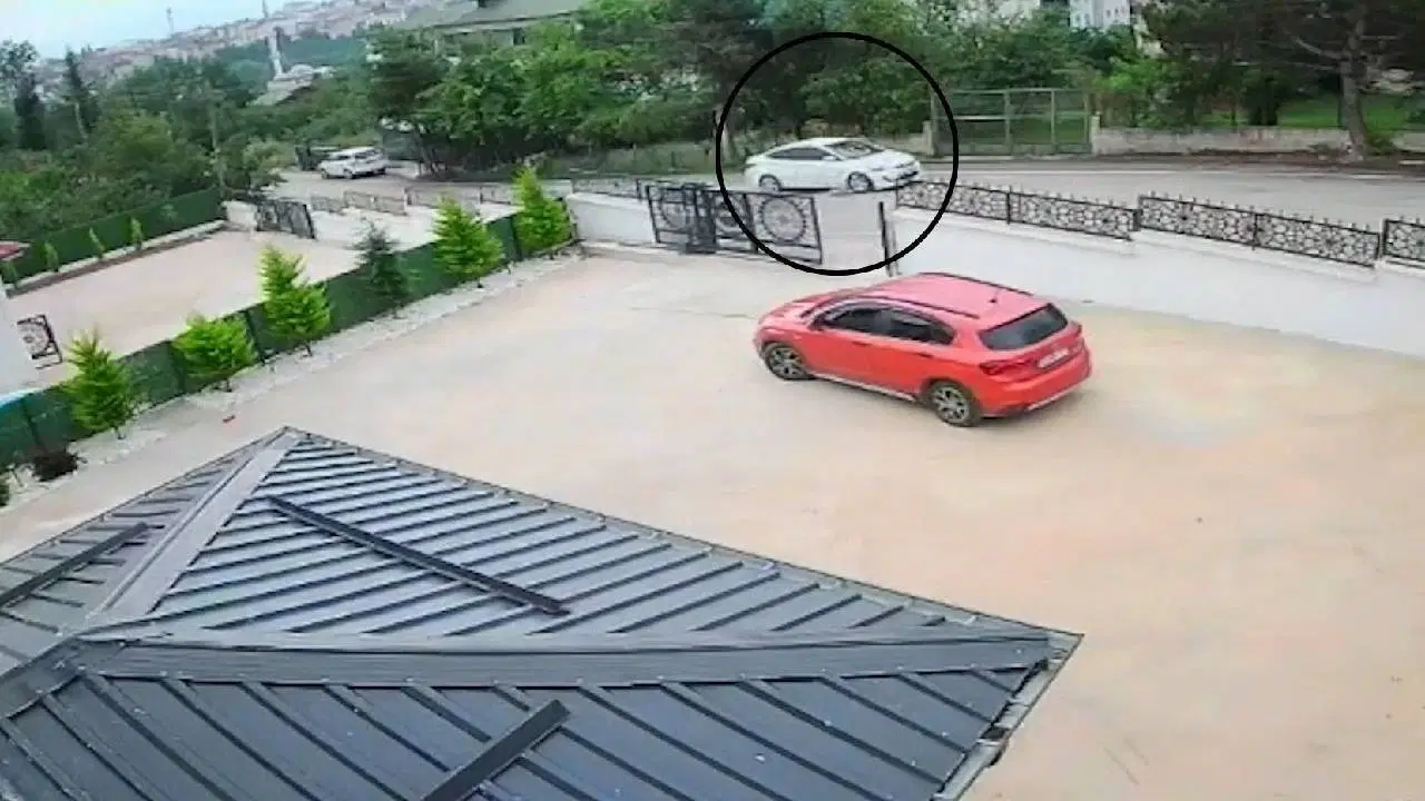Köpeğini ezip yoluna devam etti: 10 yaşındaki çocuk bayıldı