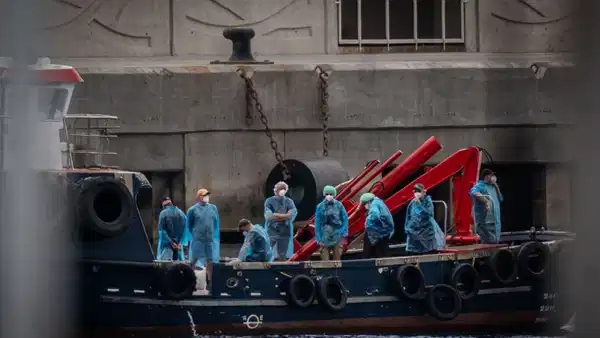 DSÖ'den korkutan virüs açıklaması: Hantavirüs için küresel risk ne?