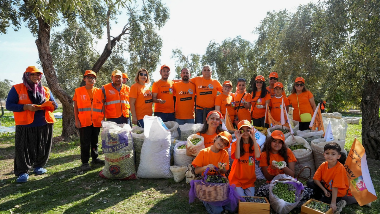 Tarsus’ta lösemili çocuklar için zeytin hasadı