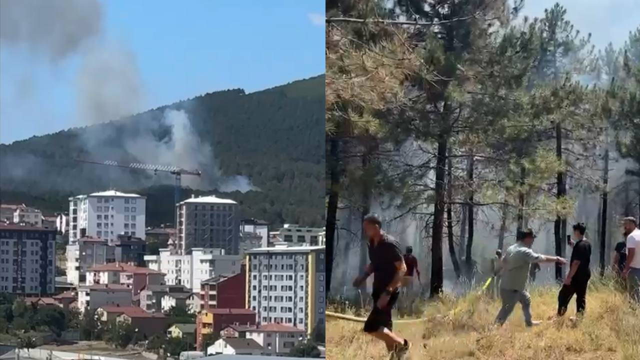 İstanbul'da orman yangını: Alevler havadan ve karadan müdahaleyle söndürüldü!