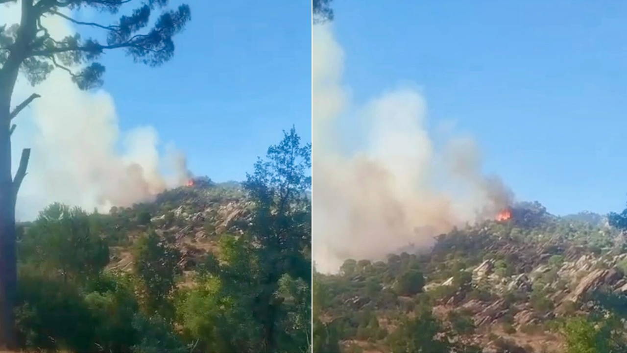 Muğla'da orman yangını: Ekipler müdahale ediyor