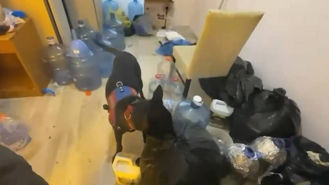 Aydın'da uyuşturucu operasyonu: 89 şüpheliye eş zamanlı baskın!
