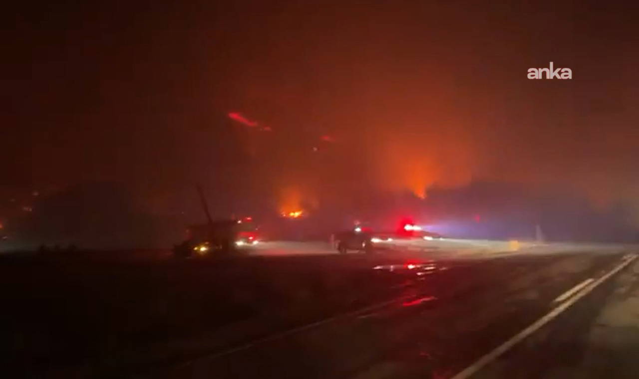 Bursa'da orman yangını! OGM'den açıklama geldi