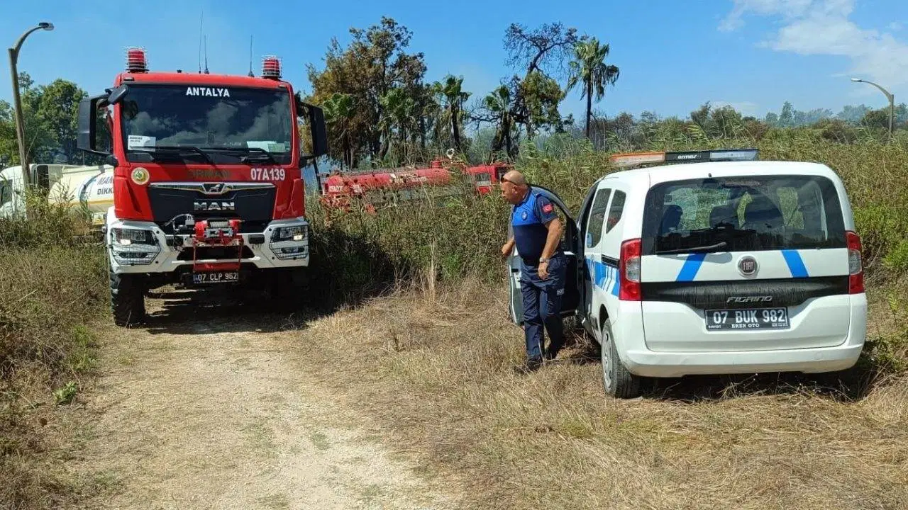 Manavgat'ta sazlık ve ağaçlık alanda yangın