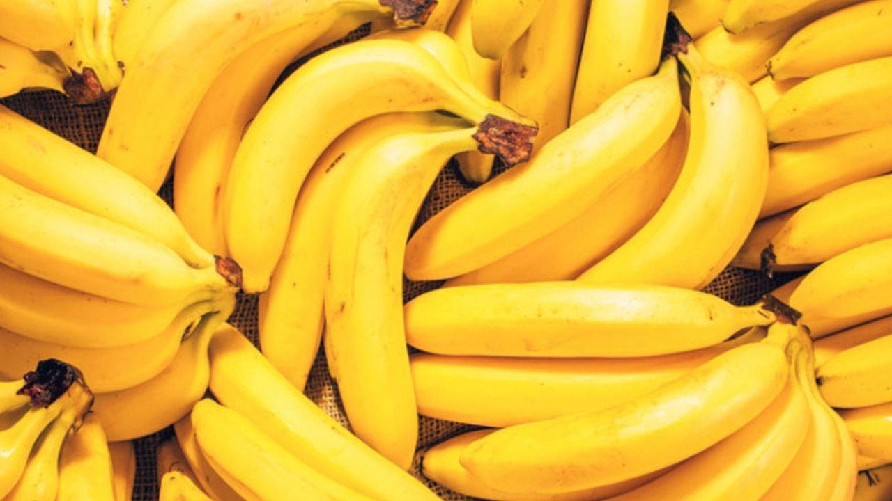 Küresel ekolojik kriz derinleşiyor: İşte, kaybolduğunu fark etmediğimiz 7 şey!