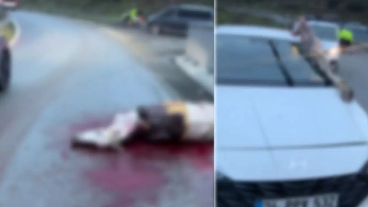 İstanbul'da korkunç kaza: Atın kopan bacağı otomobile saplandı, yaralılar var!