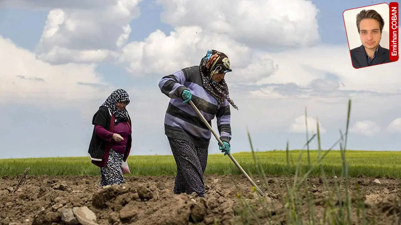 Yumaklı tarımsal hasılayla övünüyor, Türkiye kendi kendine yetemiyor: ‘Gerçek başarı, halkın gıdaya ne kadar ucuza erişebildiğidir’