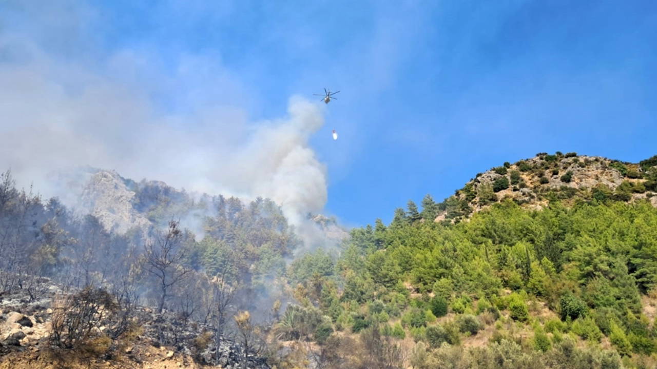 Antalya'da orman yangını: 1 gözaltı!