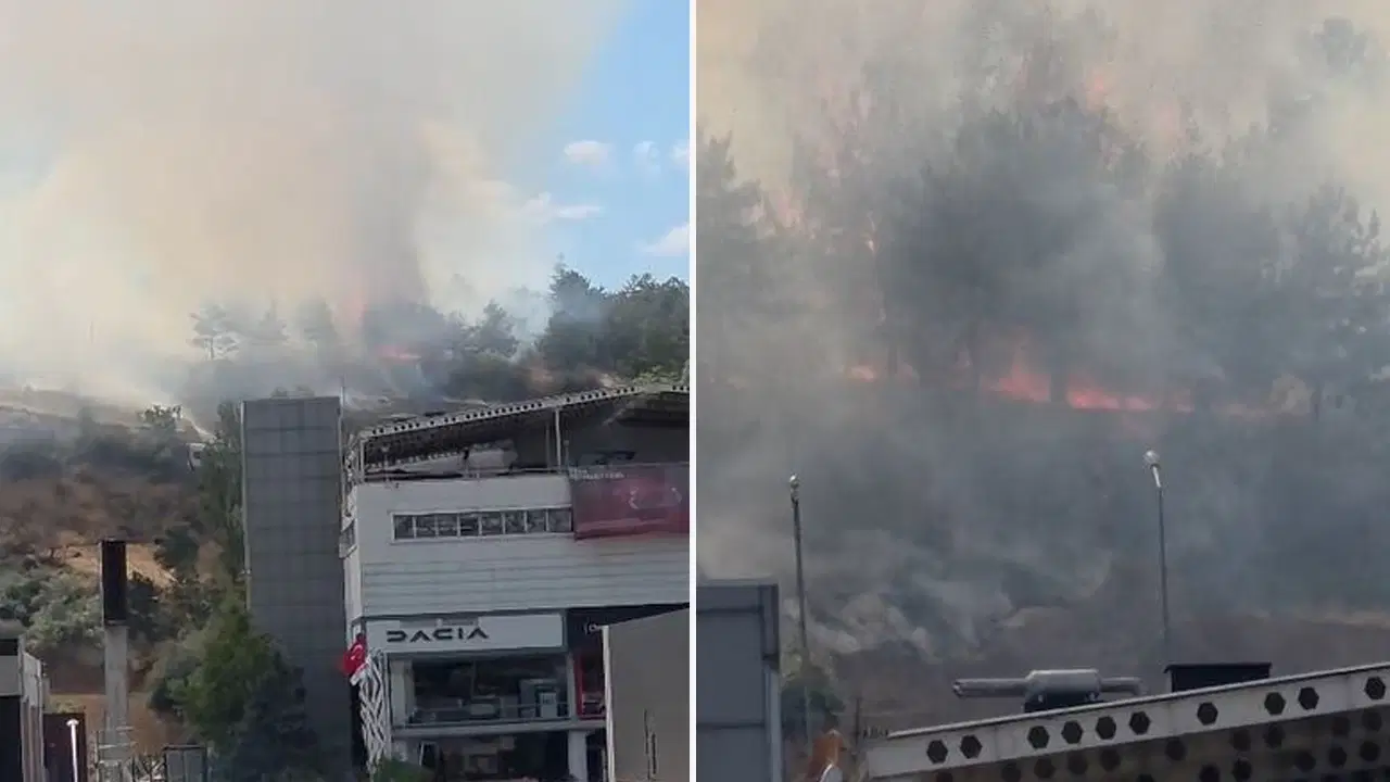 Son dakika... Ankara'da ODTÜ Ormanı'nda yangın!