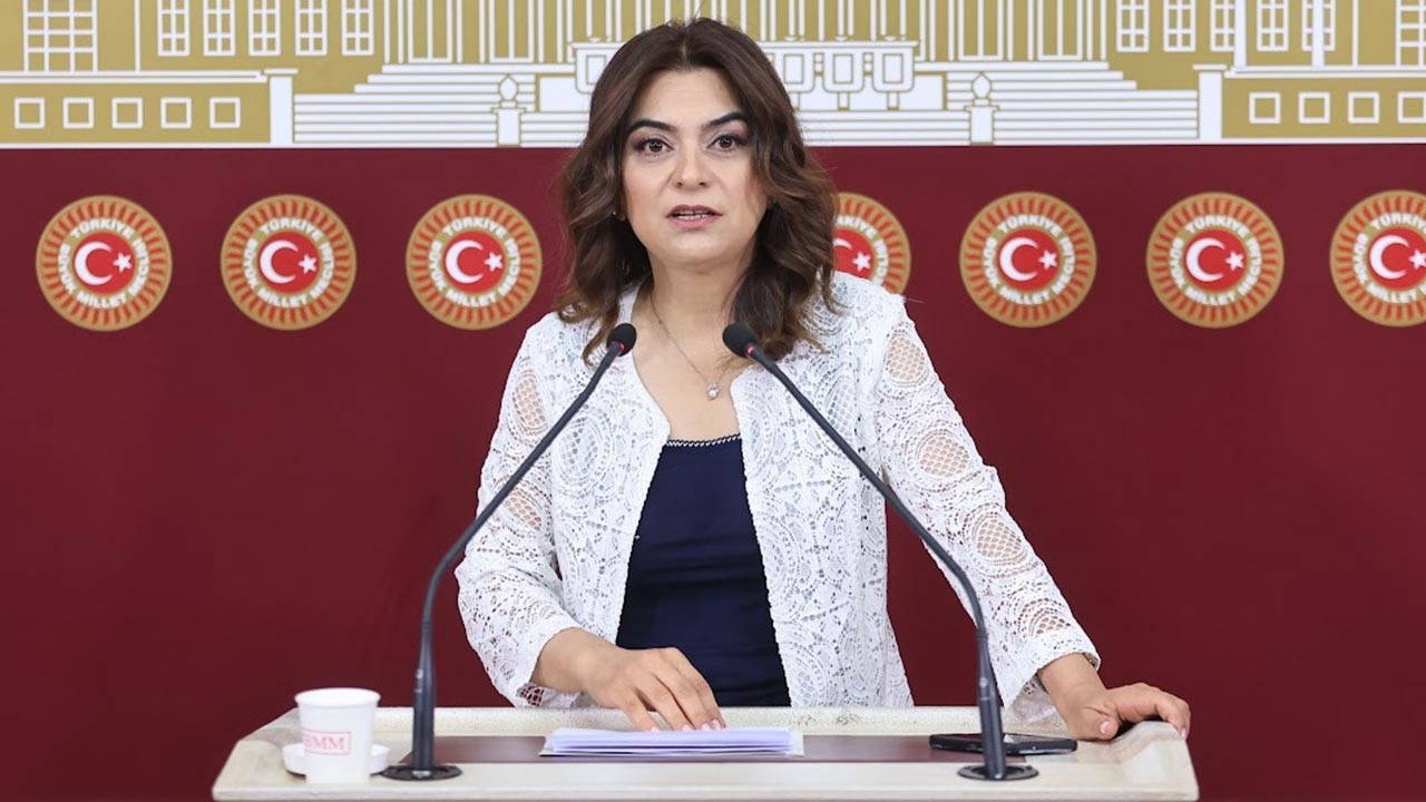 DEM Parti'nin komisyondan talebi belli oldu