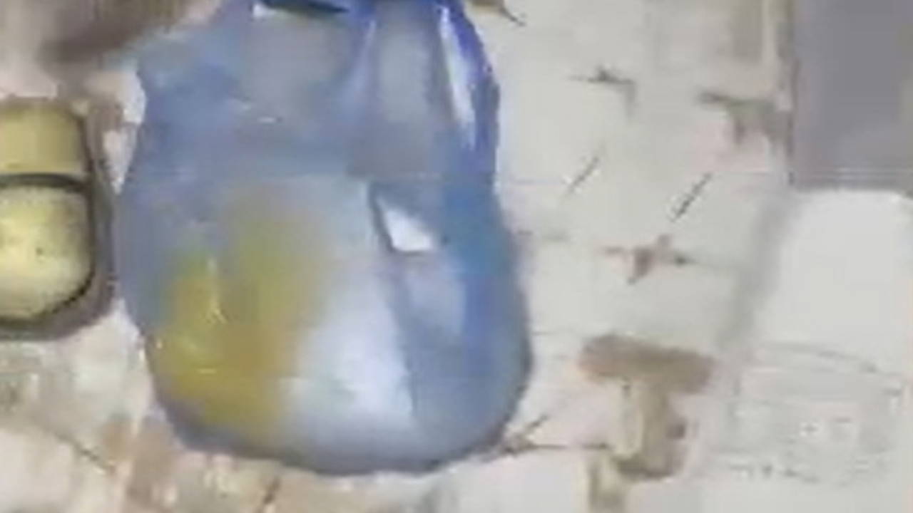 Van'da 10 kilo metamfetamin ele geçirildi: 1 tutuklama