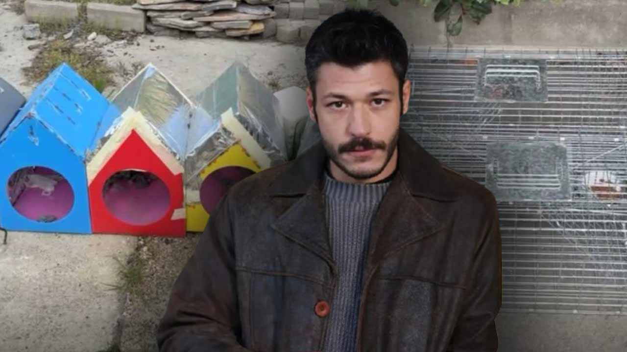Kubilay Aka’dan sert çıkış: 'Kedileri kapanla toplamışlar'