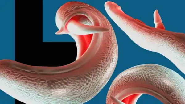 DSÖ’den korkutan uyarı: Cinsel organlara yerleşen 'melez' parazit kıta değiştiriyor!