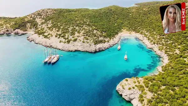 Kültür ve Turizm Bakanlığı'ndan yeni tahsis kararı: Listede orman arazileri de var