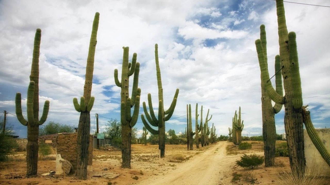 Küresel ekolojik kriz derinleşiyor: İşte, kaybolduğunu fark etmediğimiz 7 şey!