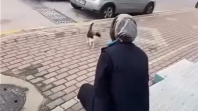 Kediyi 'gel annem' diye çağırdı, yağ çözücü sıktı!