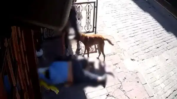 Bayılan adamın telefonunu ve kıyafetini çalan 2 kişi yakalandı