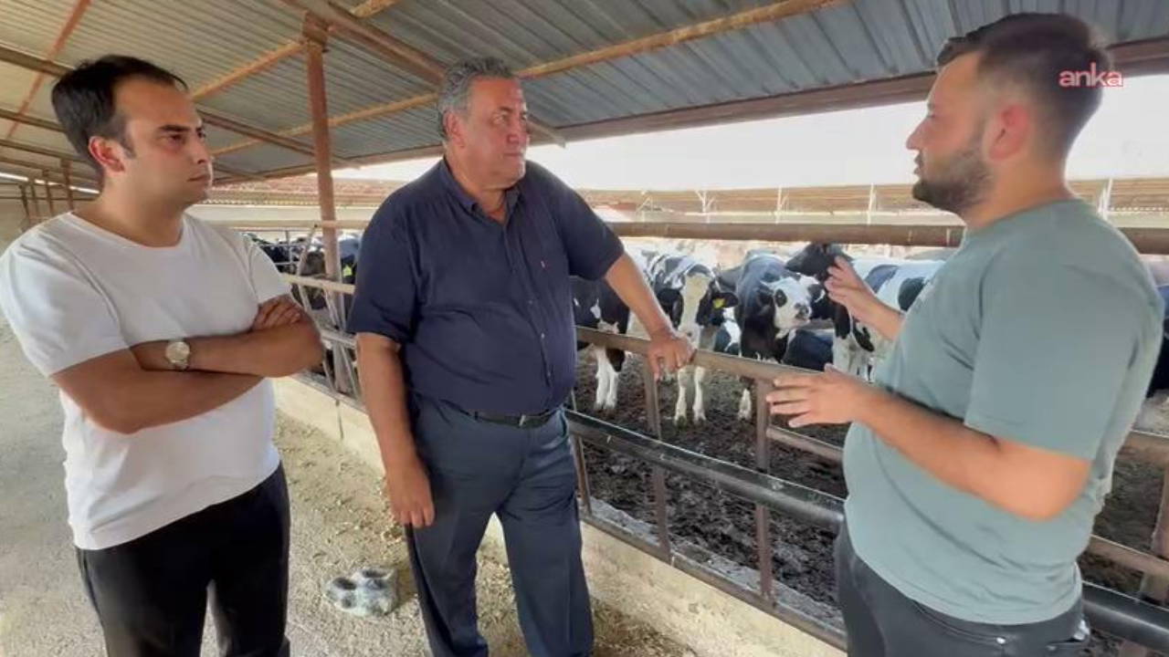 Ömer Fethi Gürer: 'Hayvancılık ciddi bir krizle karşı karşıya'