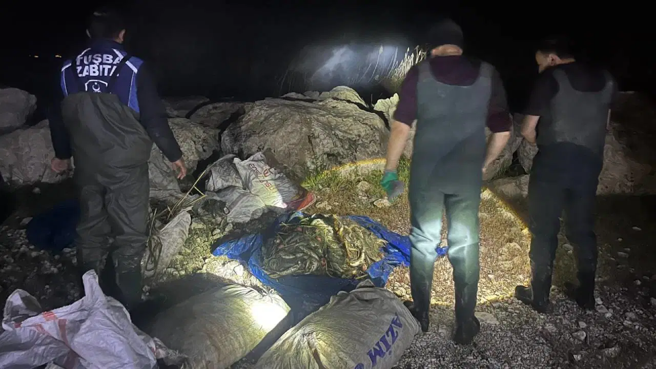 Van'da kaçak avlanan bir ton ölü inci kefali ele geçirildi
