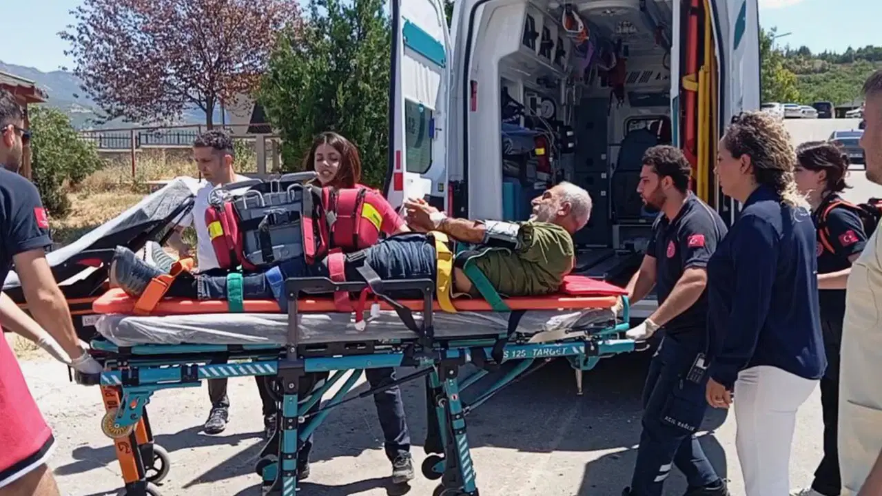 Tunceli’de engerek yılanının ısırdığı kişi helikopterle hastaneye kaldırıldı