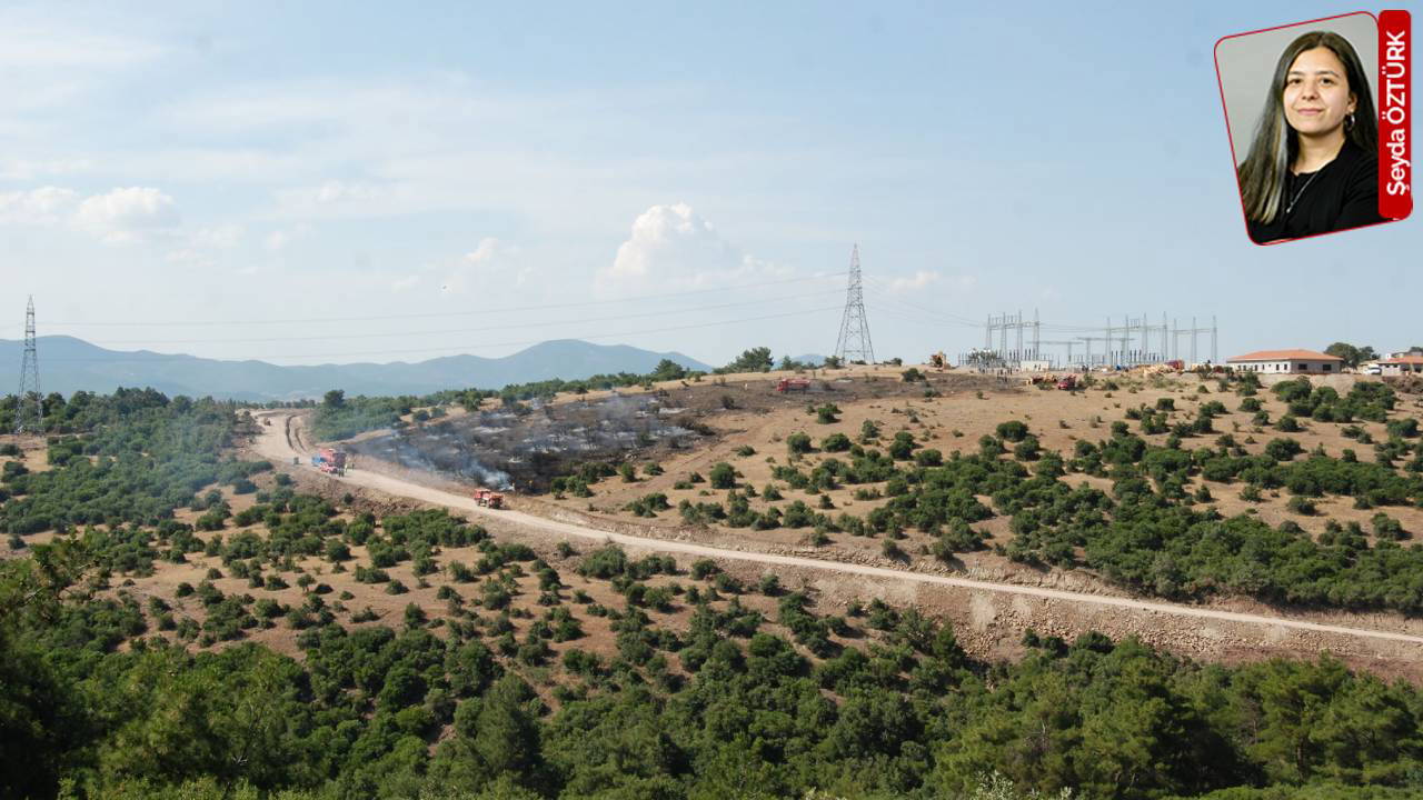 Kaz Dağları’nda yeni tehdit: 'Temiz enerji' adıyla yeni kıyım