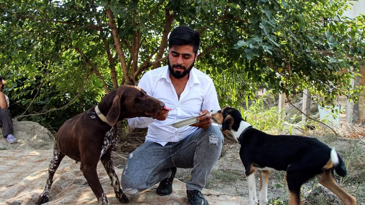 Adana'da uyuyan köpeğe sopalı saldırı: Serbest bırakılan komşuya tepki yağdı