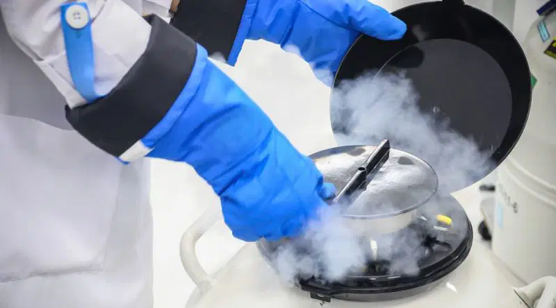 Sperm bankasından IQ testi şartı