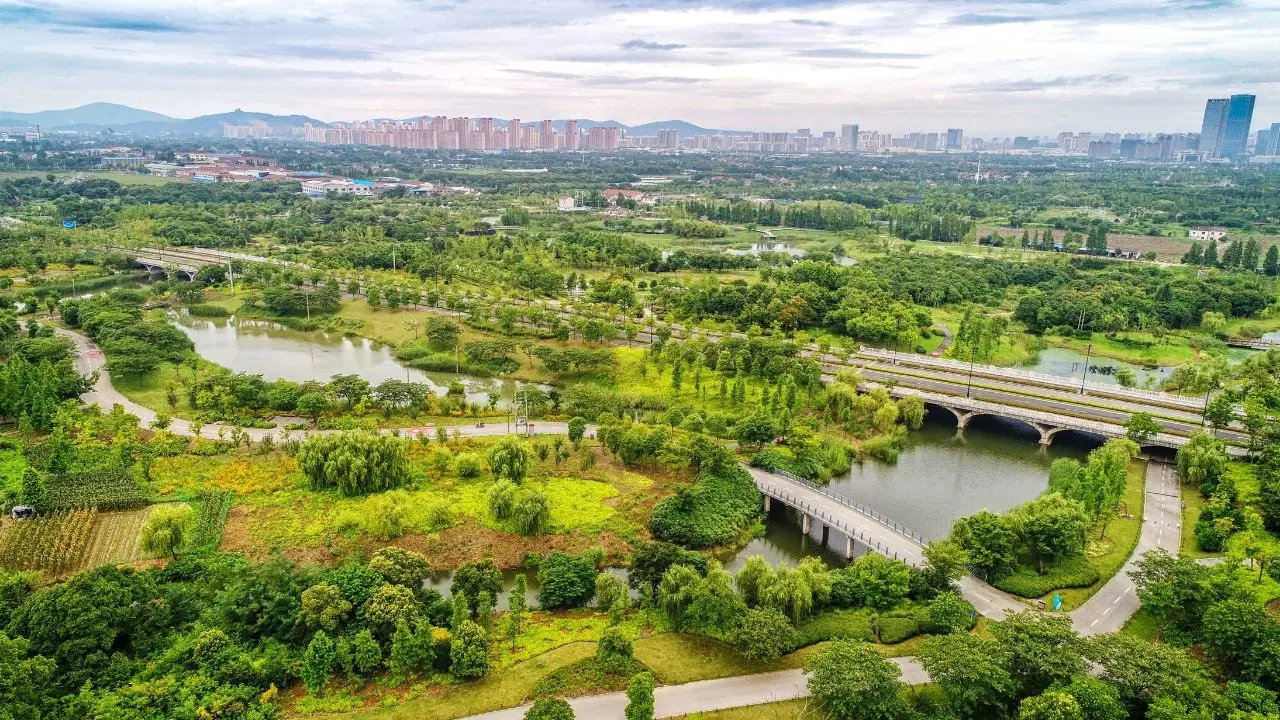 Beton ormanlara veda, doğaya dönüş: Selleri emen sünger şehir modeli yükseliyor