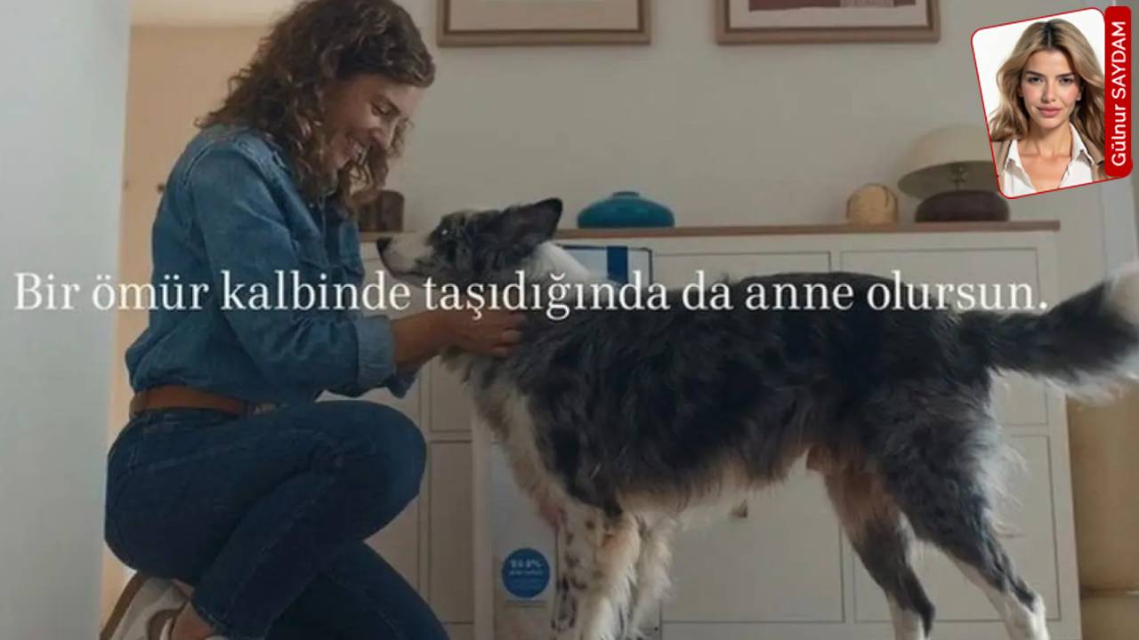 RTÜK’ten beyaz eşya markasının patili dostlu Anneler Günü reklamına inceleme: Hedef gösteriyorlar