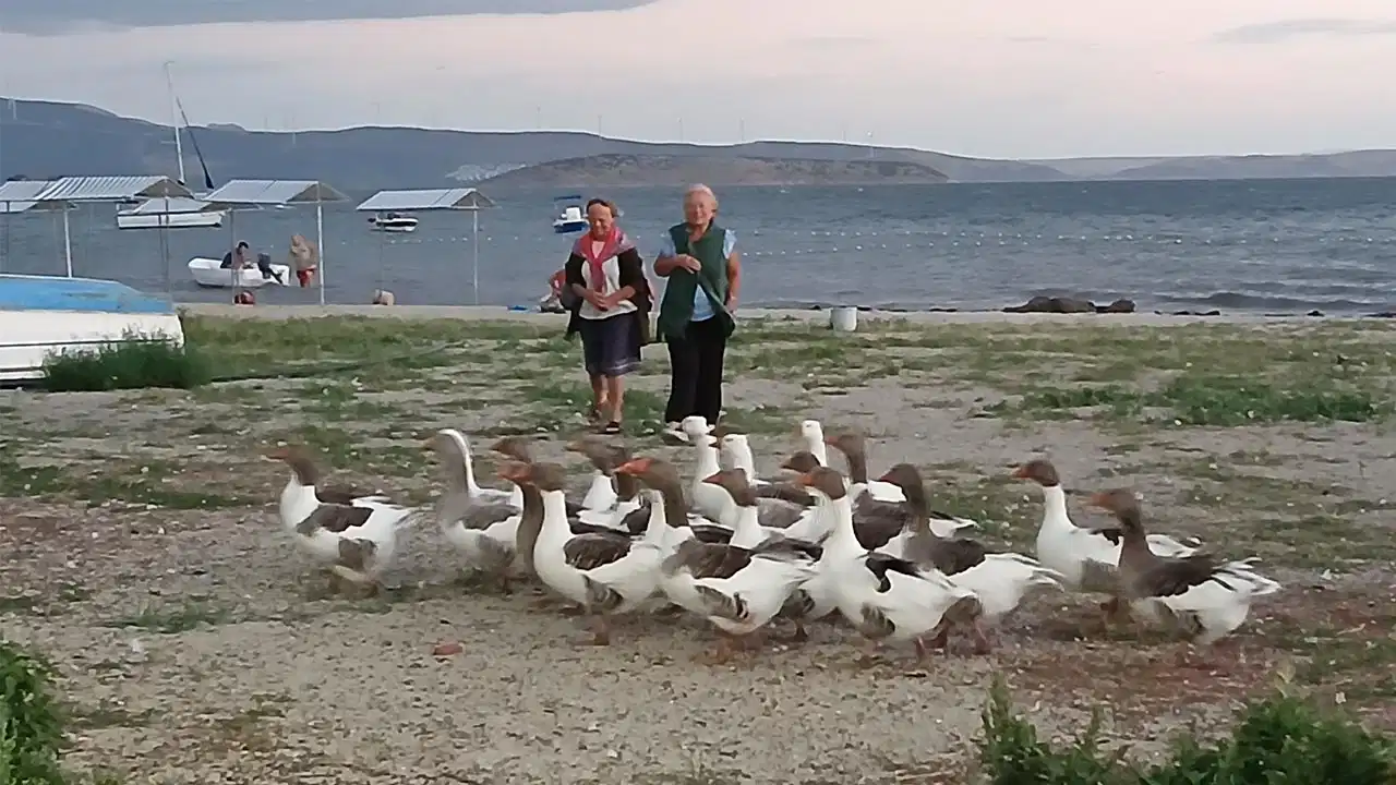 Son Dakika Haber Görseli