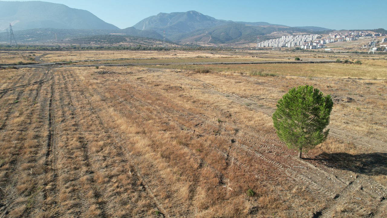 BYD'nin Türkiye fabrikası çalışmalarında sessizlik sürüyor: 2026'da faaliyete geçilecek denildi!