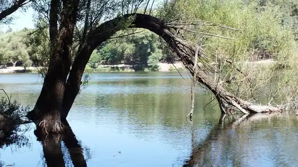2 kez mahkeme kararıyla iptal edildi: Karagöl Tabiat Parkı'na 'dinamitli maden' ısrarı