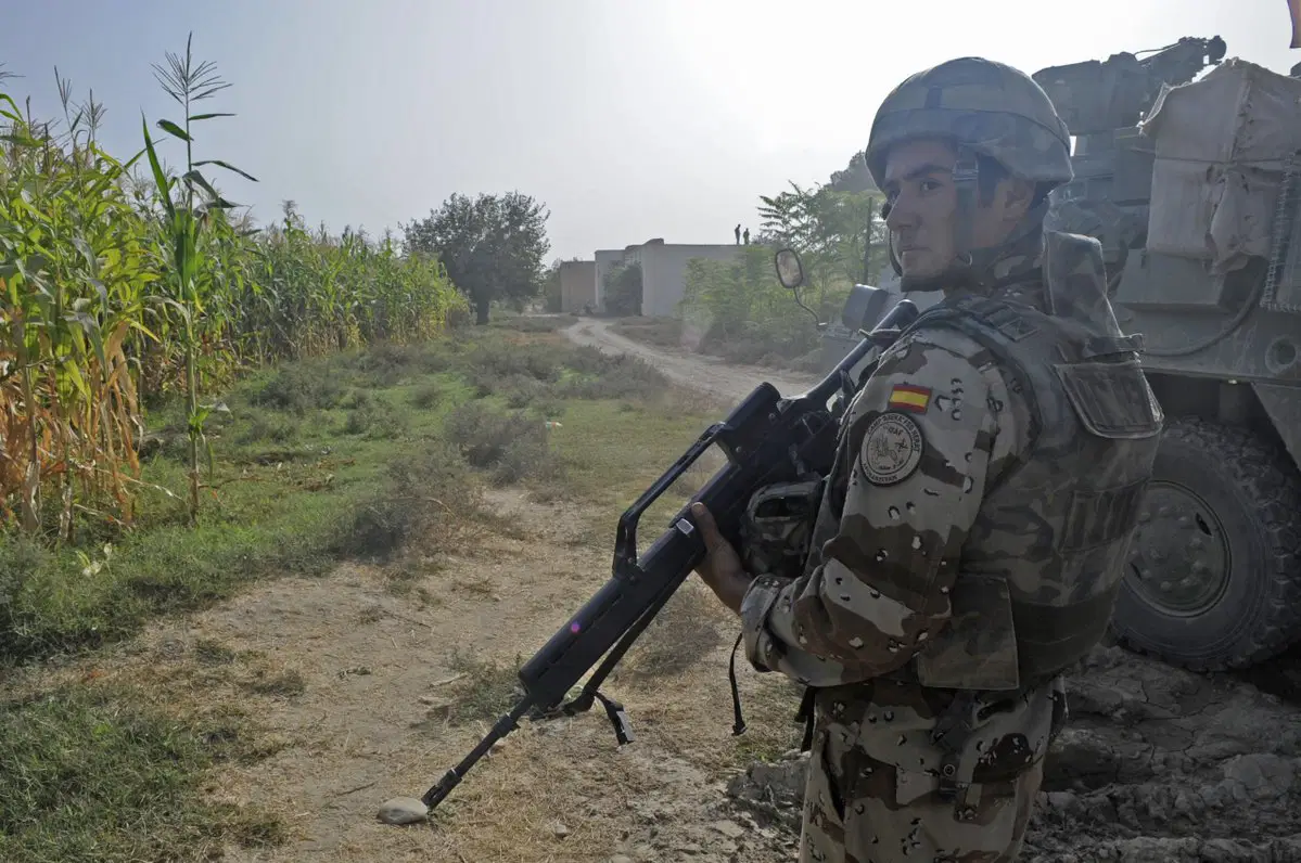 İspanya'da domuz vebası alarmı