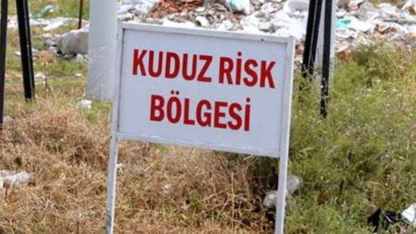 Kuduz vakası tespit edildi: O mahalle karantinaya alındı