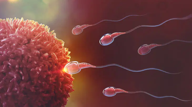 Yıllar sonra ortaya çıktı: Sperm bankası faciası