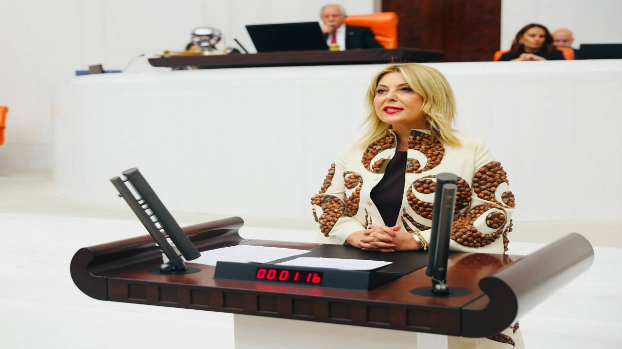 CHP'li Gezmiş: "Fındığın tadını acılaştırmayın"
