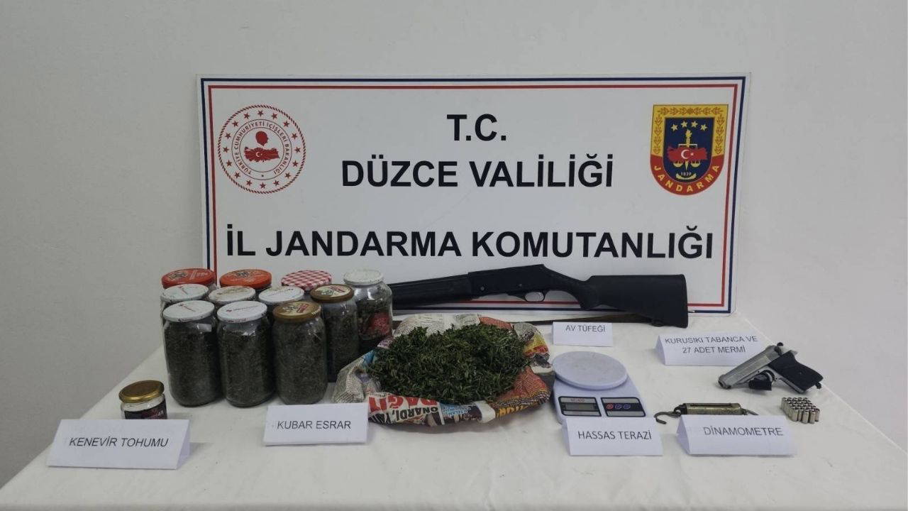 Evinin çatısına kenevir bahçesi kuran 1 şahıs yakalandı