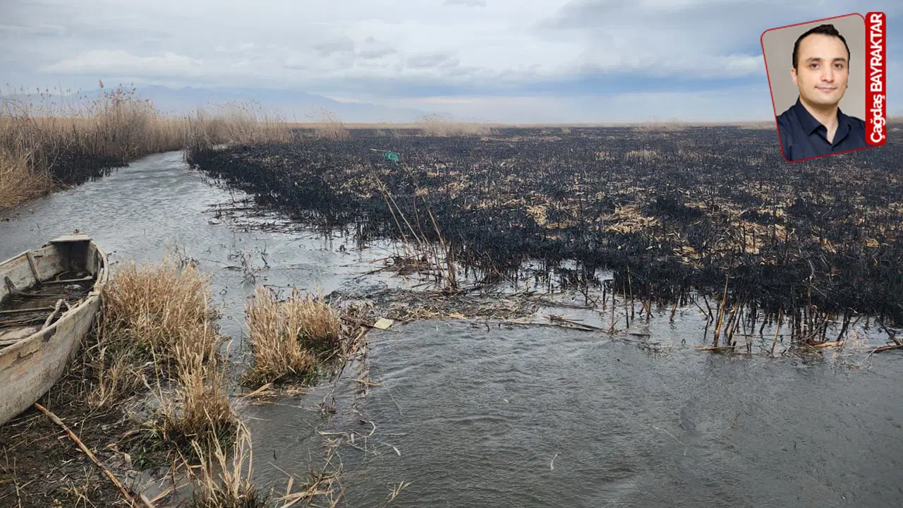 Eber Gölü civarında yangın: '300 dekar alan kül oldu'