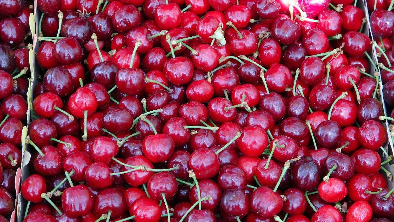 Türk kirazı o ülkede daha ucuz: Türkiye'de kilosu 1000 TL!