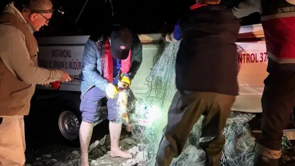 Barajdan 2 bin 500 metre ağ çıktı: Kurtarılan 225 sazan gölete bırakıldı