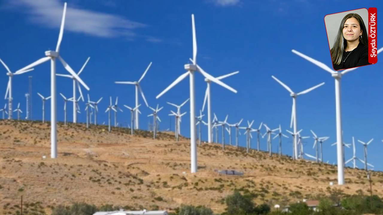 Bursa’daki 11 bin 282 ağacın 8 bin 676’sı sadece rüzgar güllerine ‘yol açmak’ için kesilecek: Türbin için yok ediş